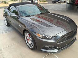 Scottsdale Clear Bra Paint Protection Specialists